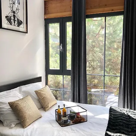 Magnifique Loft Climatise Buttes Chaumont Apartment *